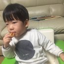 지리산양봉원 이미지