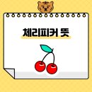 피커케이크