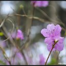 명암약수터 이미지