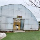 쌍둥이 농장 | 강릉 쌍둥이동물농장 동물원 | 강릉 아이랑 가볼 만한 곳