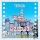 최고카랜드 | LA 디즈니랜드 파크 호퍼 후기 동선 라이트닝 레인 주의할 점 및 꿀팁