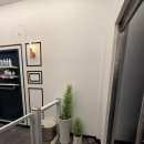 은평애견 이미지