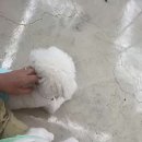 둥실둥실유치원 이미지