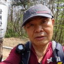 충남담배