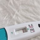 정지은한의원 | 난임일기 #2. 두번째 임신테스트기 두줄, 화학적 유산, 임신준비 한약 복용 후기