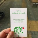 명지대 빵집 시냇가에 심은 나무