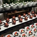 호텔 우디 이미지