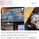 (주)예일메디칼 | 도봉구동물병원, 이 글 하나로 과잉진료 90% 이상 예방할 수 있습니다.