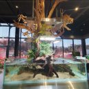 카페블루오션 이미지