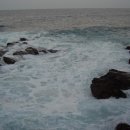 삼척횟집 이미지