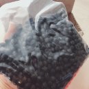 오번리 농장 이미지