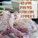 고주망태 - 수원시 영통구 청명남로34번길 21 | 대전 숭어회는 문창동 다리위 오징어 고주망태 후기