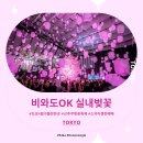 나무아래서(푸드트럭) | 2026 도쿄 4월 가볼만한곳 신주쿠 실내 벚꽃축제 스카이랜턴 예매 총정리