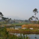 센테리움CC[금강센테리움(주)] 이미지