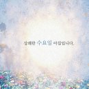 9월의 마지막 날(水) 밤따는데 동행해 주던 친구 이미지