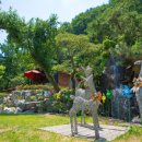 가평 티앤 풀빌라 키즈 가족 스파펜션 이미지