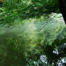 신덕식당 이미지