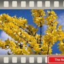 이로움메디컬 이미지