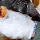 노점구이