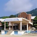 진도초등학교 이미지