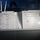 비둘기는멍청해보여