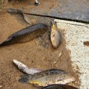 공북낚시터 이미지