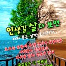 제주 올레길 완주했어요 이미지