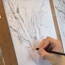 [신규]연필드로잉 | 🎨 대구 성인 취미 미술 화실에서 생긴 변화 | 드로잉 2일차에 가능한 실력?취미 미술 실제 수업 후기