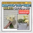 성지연 | 가성비 추천 웨딩 촬영 본식 부케 에떼플뢰르 비마이스튜디오 촬영 부케 총 후기