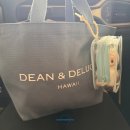 팜스펫 | HAWAII - 08