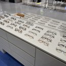 블루선 타임스퀘어점 이미지