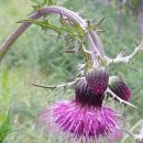 아침한의원 이미지