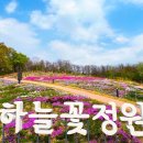 하늘꽃
