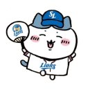 창21 | 라이온즈파크 외야커플테이블석 ML-5구역 좌21-1,2 시야 후기 (만재네, 연막창 위치 / 2026 좌석가격안내)