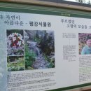 평강부부한의원 이미지