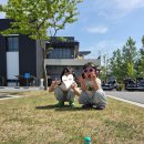 승강장위6교 | [아이랑 춘천 여행] 삼악산 호수케이블카 할인 꿀팁 스카이워크 솔직 후기