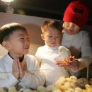 신기부화장 이미지