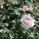 자연속의 휴식공간 이미지