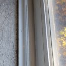 대구여자고등학교 이미지