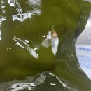 삼천고기마트