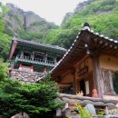 다덕파크 이미지