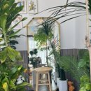 벌크커피여수