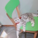 JM메디칼 이미지