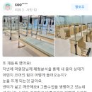 바디랩필라테스 네이버블로그