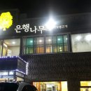 금쪽같은내새끼 동물병원 이미지