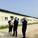 경기도 안산 선감어촌체험마을 갯벌체험 촬영 후기