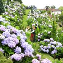 꽃향기바다소리 이미지