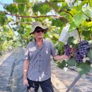 만수농장 이미지