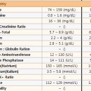 아이윌24시동물병원 이미지