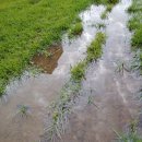 정촌 파크골프장 이미지